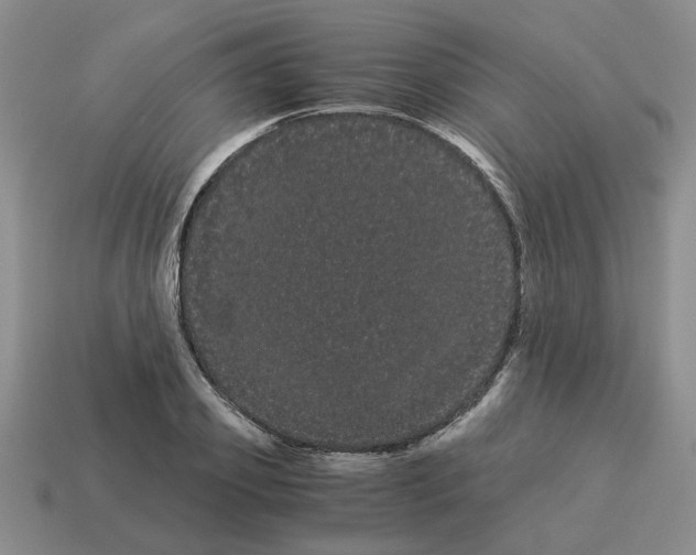 X0000114190933200911061400