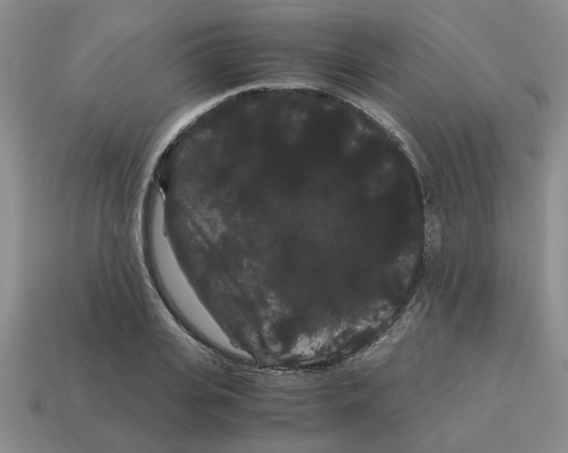 X0000114190935200911061400