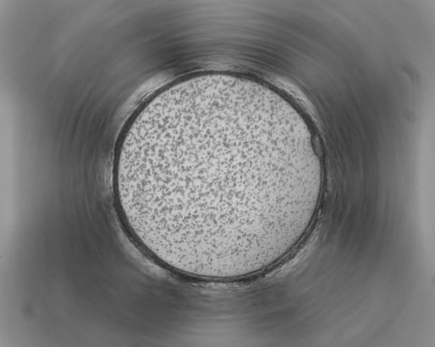 X0000114190938200911061400