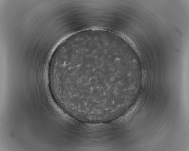 X0000114190939200911061400