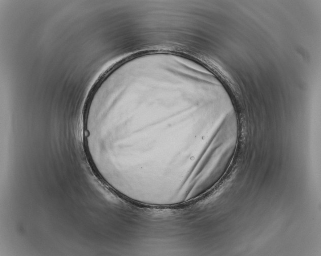 X0000114190940200911061400