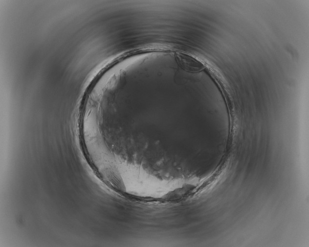 X0000114190941200911061400