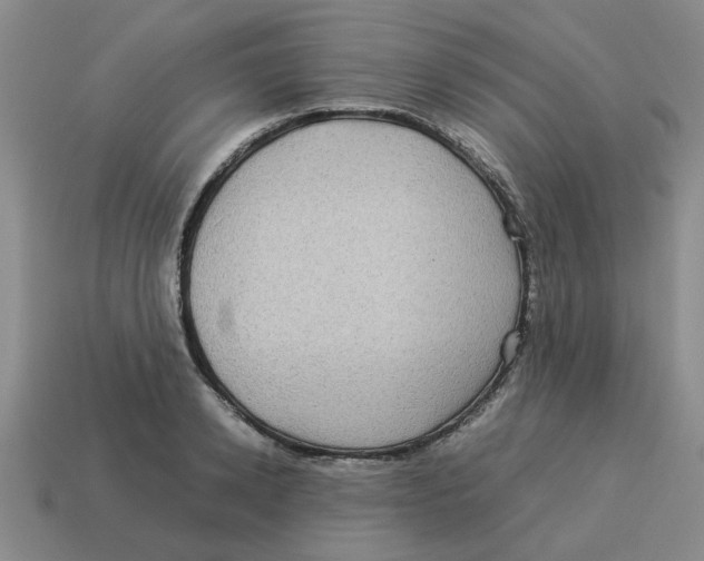 X0000114190942200911061400