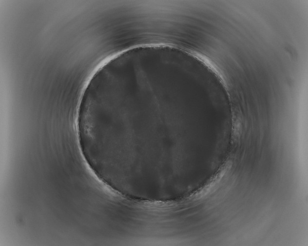 X0000114190943200911061400