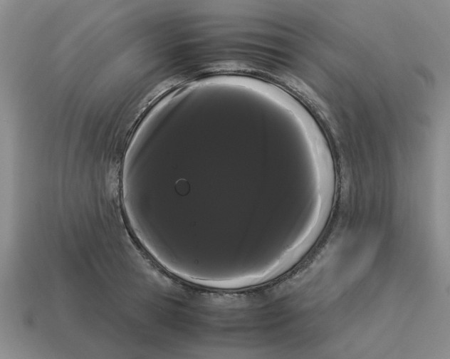 X0000114190945200911061400