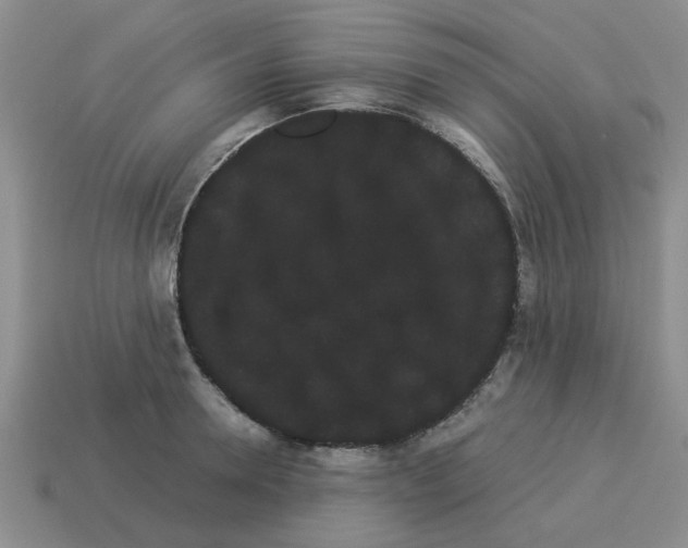 X0000114190946200911061400