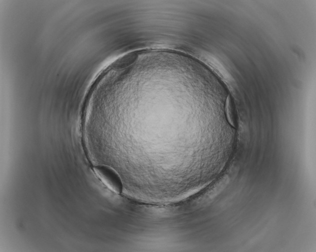 X0000114190948200911061400