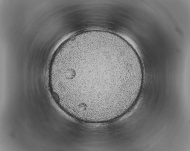 X0000114190949200911061400