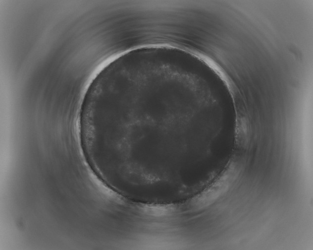 X0000114190951200911061400