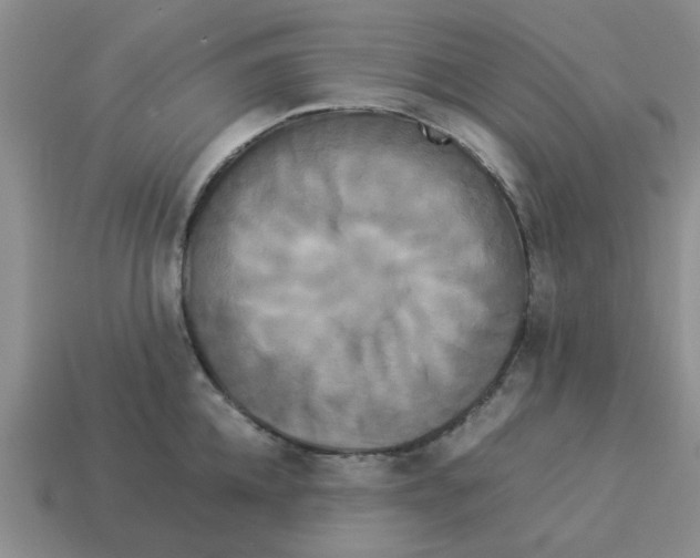 X0000114190952200911061400