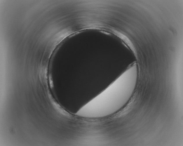 X0000114190954200911061400