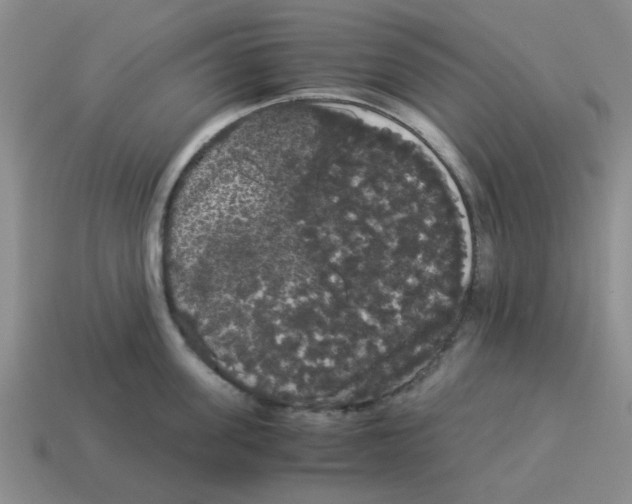 X0000114190955200911061400