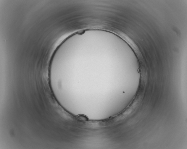 X0000114190956200911061400