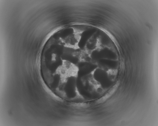 X0000114190957200911061400