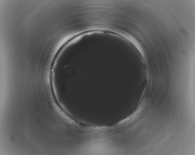 X0000114190958200911061400