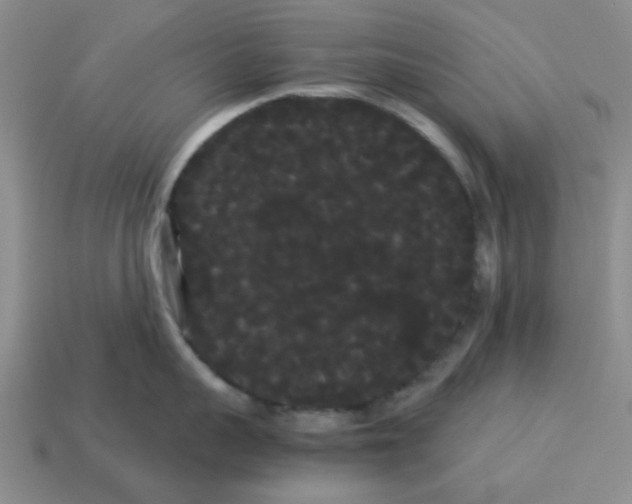 X0000114190959200911061400