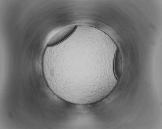 X0000114190960200911061400