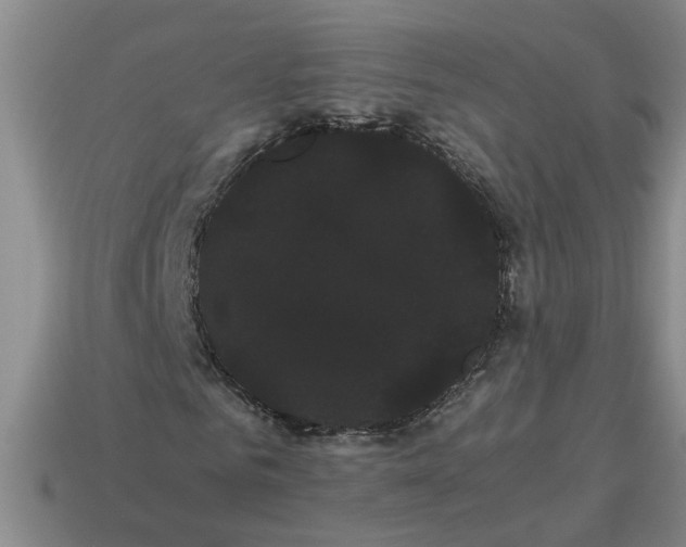 X0000114190961200911061359