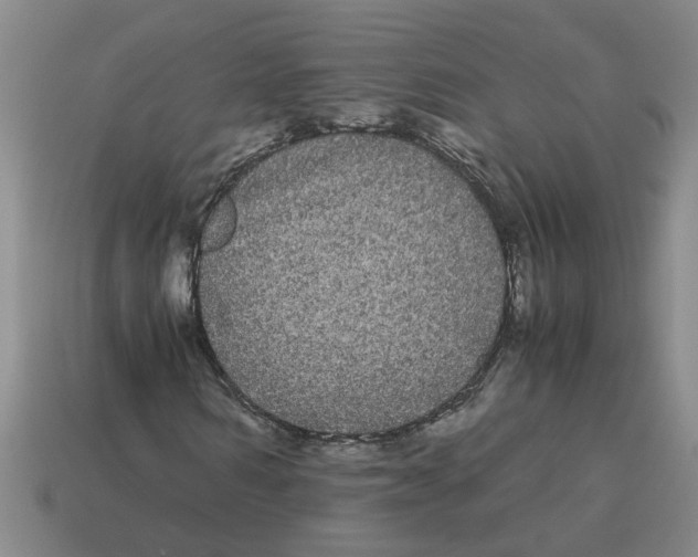 X0000114190962200911061359