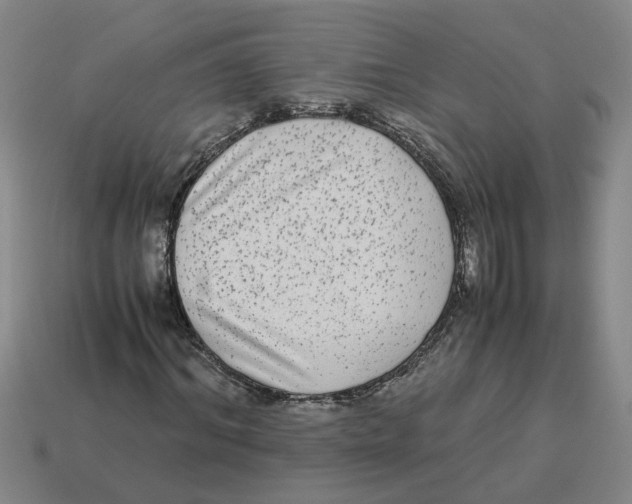 X0000114190964200911061359