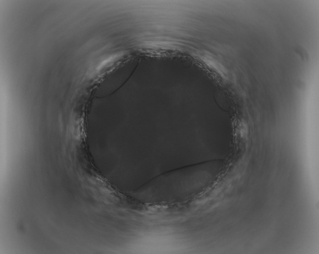 X0000114190965200911061359