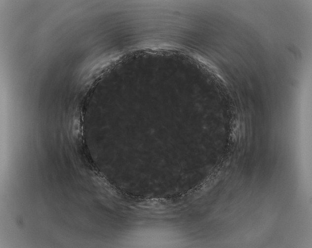 X0000114190966200911061359