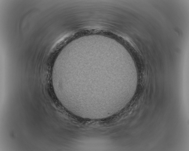 X0000114190967200911061359