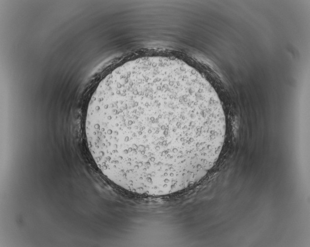 X0000114190968200911061359