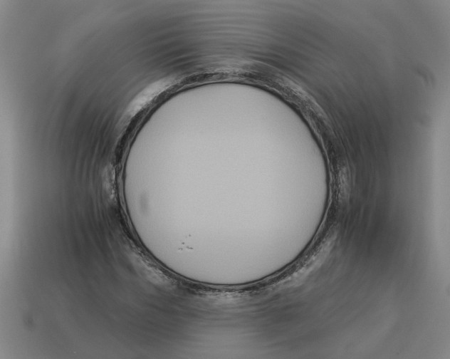 X0000114190970200911061359