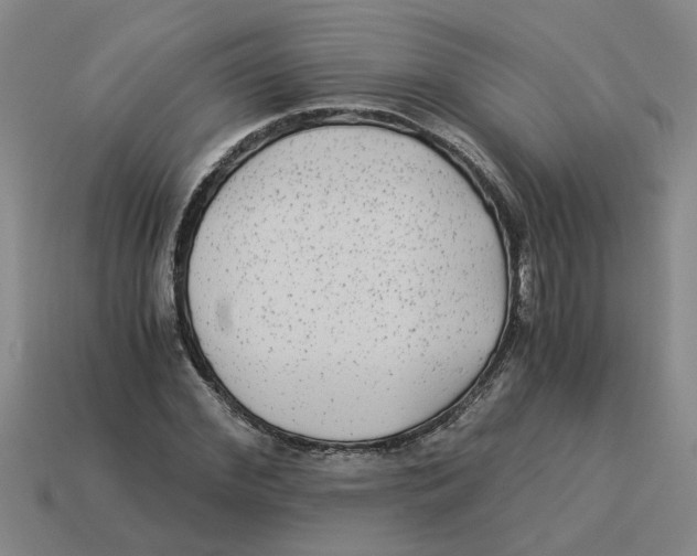 X0000114190972200911061359