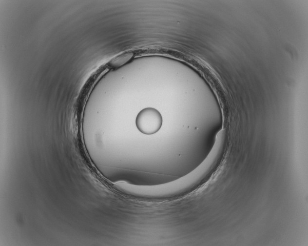 X0000114190973200911061359