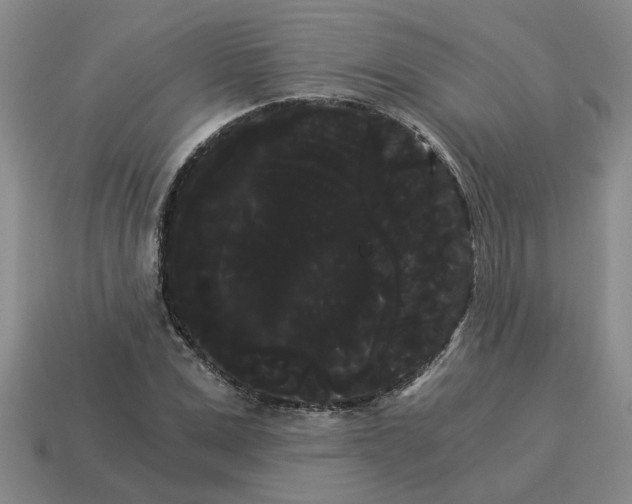 X0000114190975200911061359