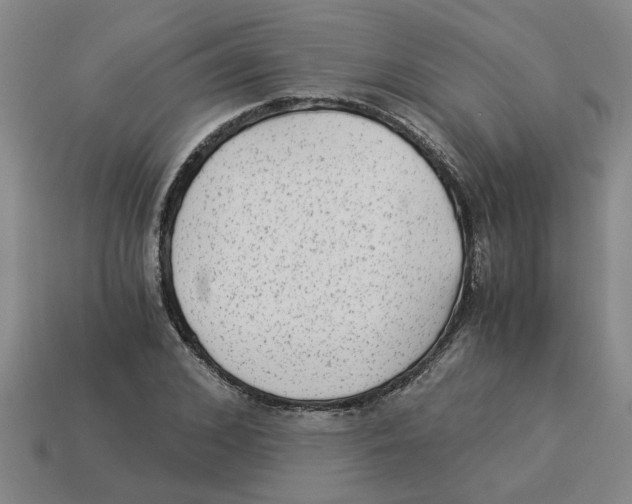 X0000114190976200911061359