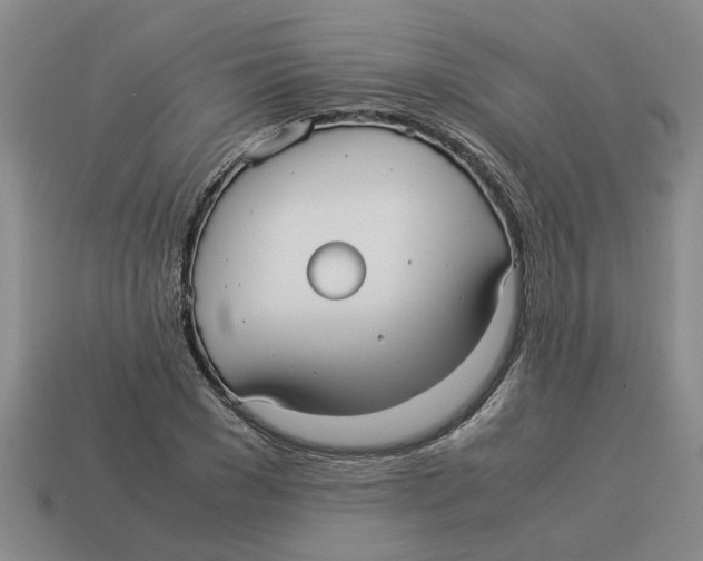 X0000114190977200911061359