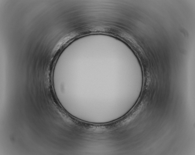 X0000114190978200911061359