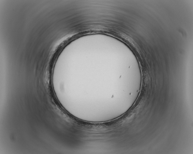 X0000114190979200911061359