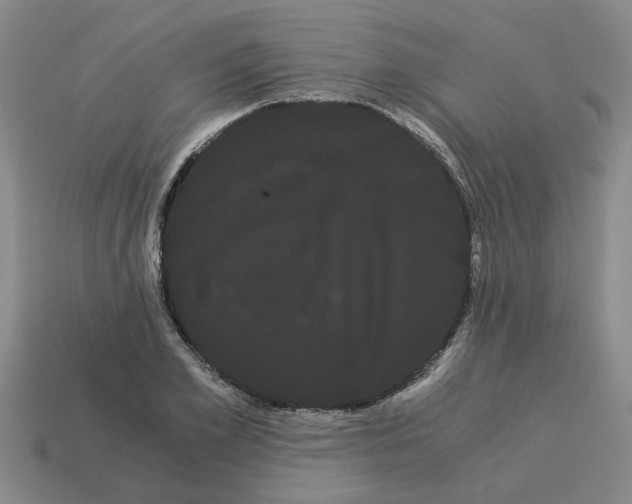 X0000114190981200911061359