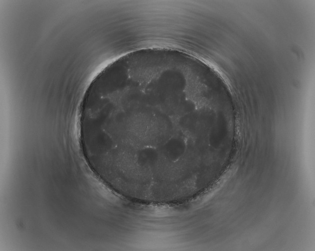 X0000114190983200911061359