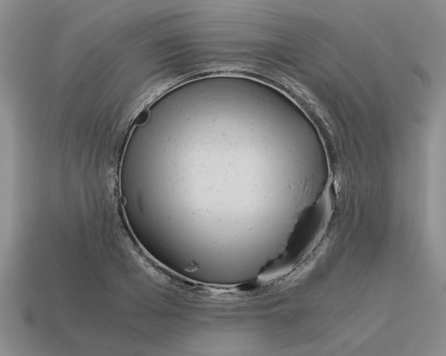 X0000114190985200911061359