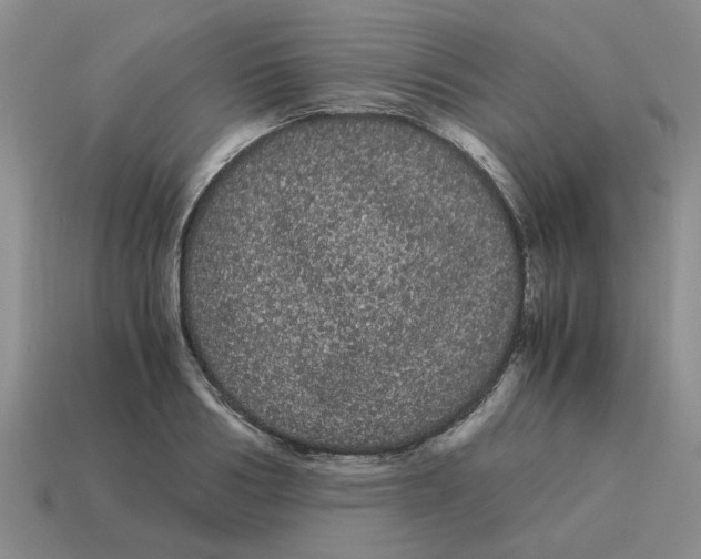 X0000114190986200911061359