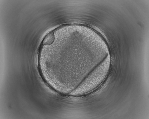 X0000114190987200911061359