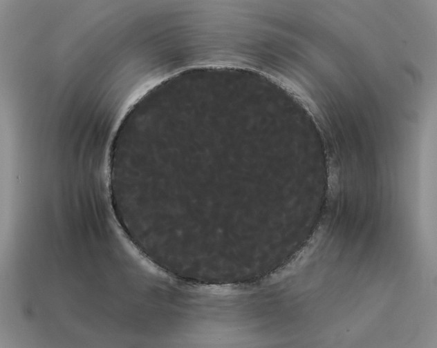 X0000114190990200911061359