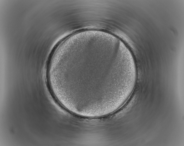 X0000114190991200911061359