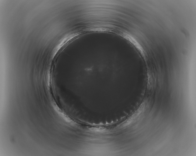 X0000114190994200911061359