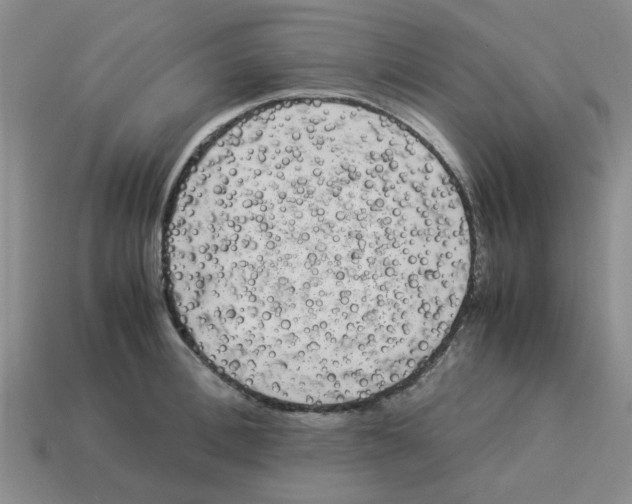 X0000114190996200911061359