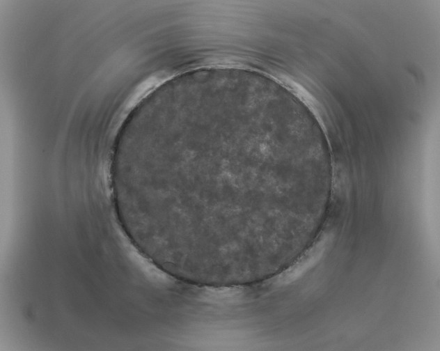 X0000114190997200911061359