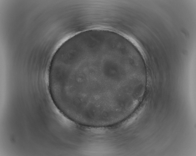 X0000114190999200911061359