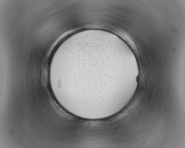 X0000114191000200911061359