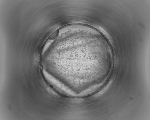 X0000114191001200911061359