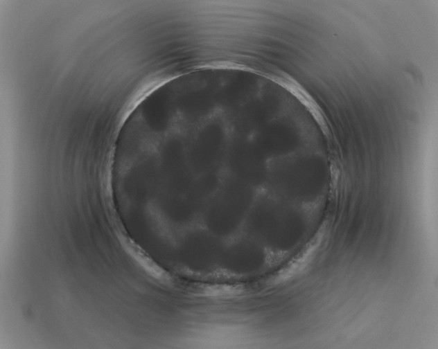 X0000114191002200911061359